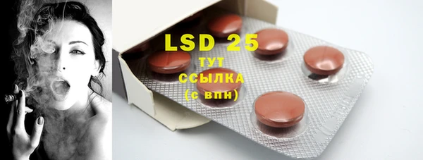 PSILOCYBIN Балахна