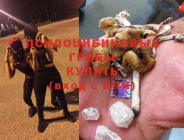 сатива Балабаново
