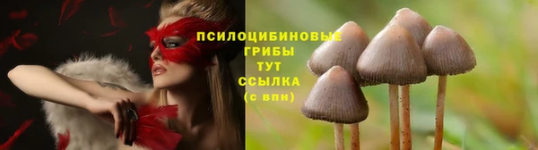сатива Балабаново