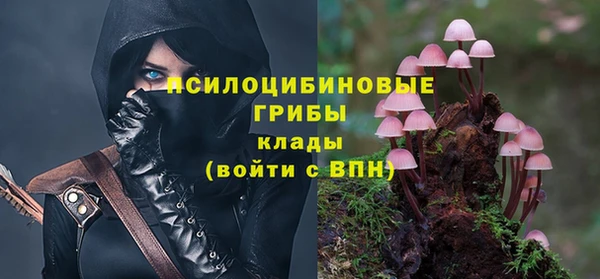 PSILOCYBIN Балахна