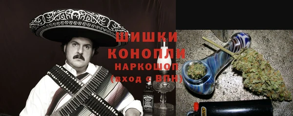 PSILOCYBIN Балахна