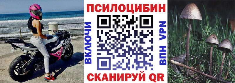 Галлюциногенные грибы мицелий  площадка какой сайт  Горнозаводск  mega зеркало 